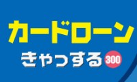 きゃっする300のカード画像