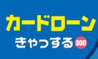 きゃっする300のカード画像