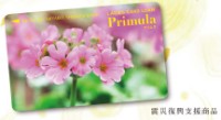 レディースカードローン「プリムラ」のカード画像