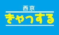 カードローン　西京きゃっするのカード画像