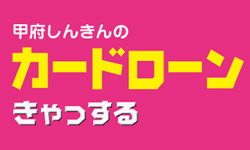 カードローン　しんきんきゃっする500のカード画像