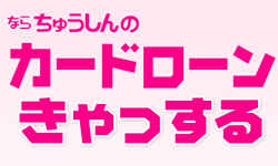 きゃっする300のカード画像