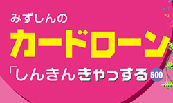 カードローン「しんきんきゃっする500」のカード画像